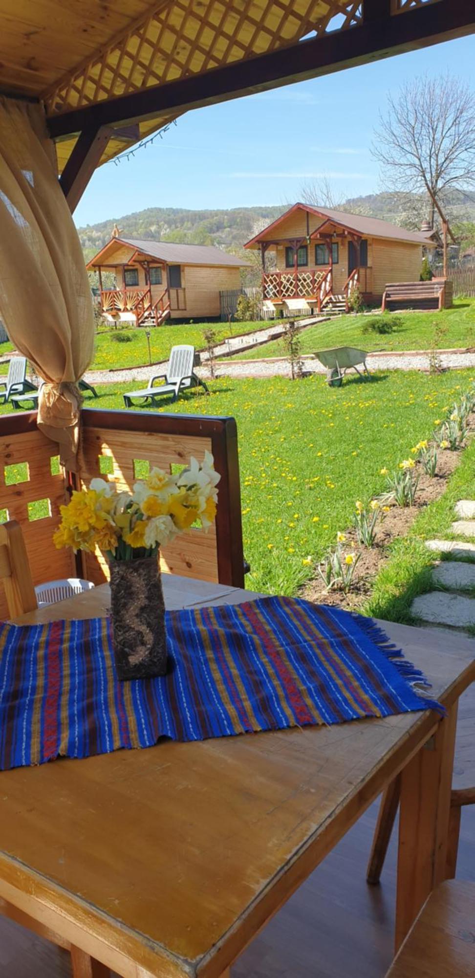 Baltina Parc Transfagarasan Villa Curtea De Arges Exterior photo